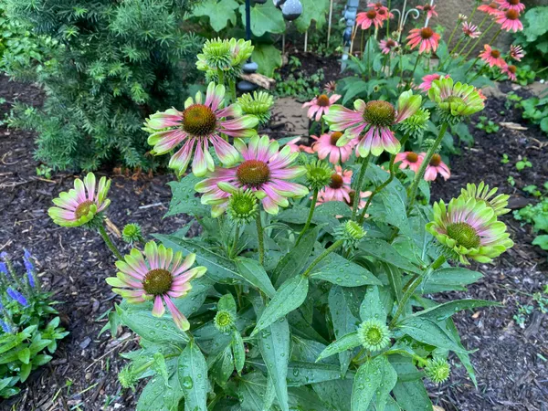 $420,000 | 131 Oakland Avenue, Mukwonago, WI 53149