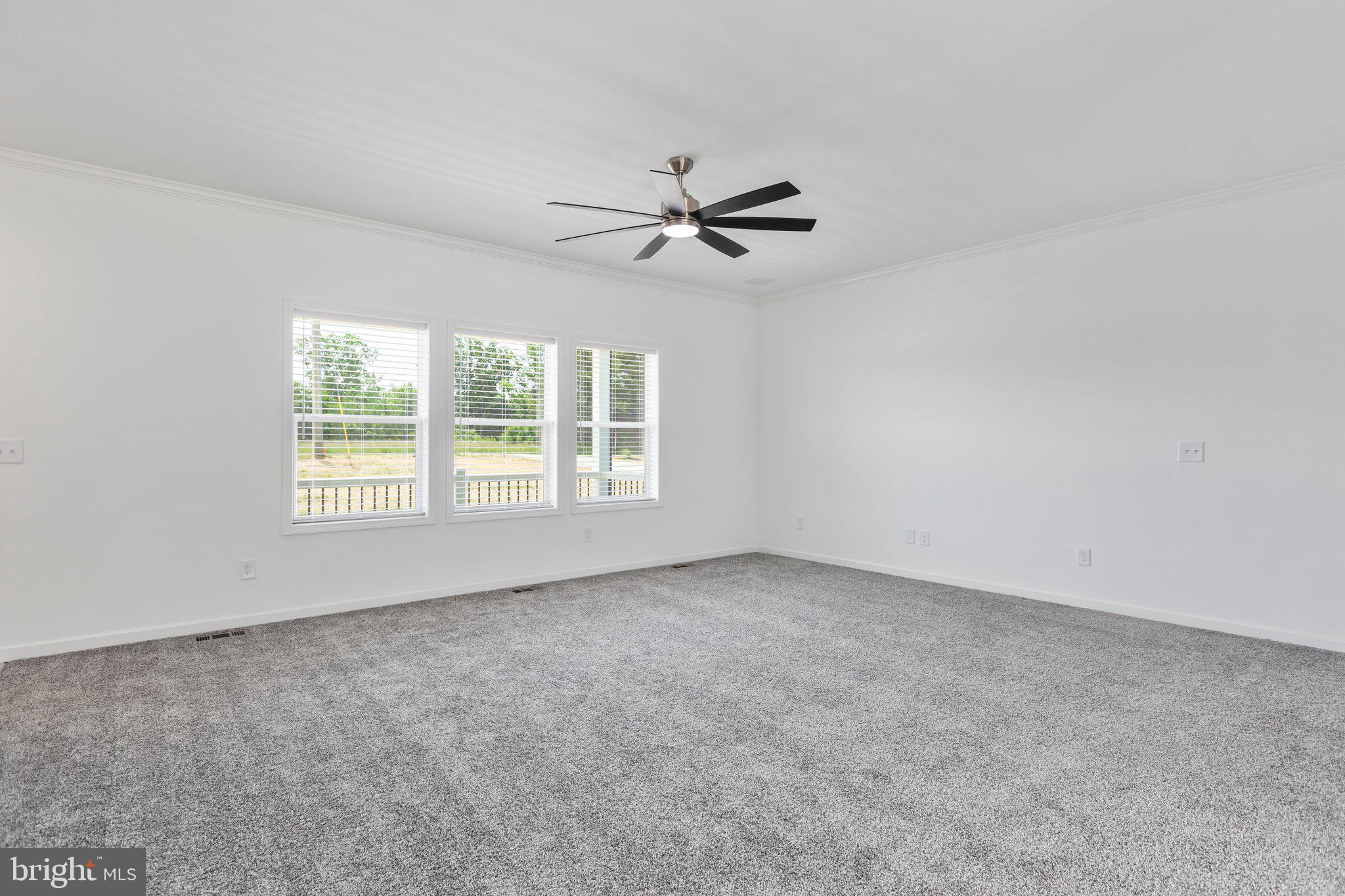 931 Levi Road Green Bay, VA 23942 - Photo 5 of 48