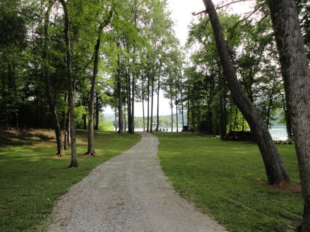 1486 East Norris Point Road La Follette, TN 37766 - Photo 4 of 29 DSC06636