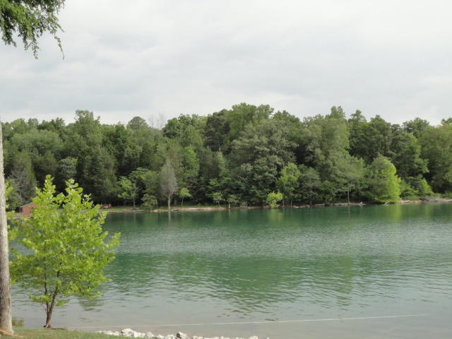 1486 East Norris Point Road La Follette, TN 37766 - Photo 7 of 29 DSC06640