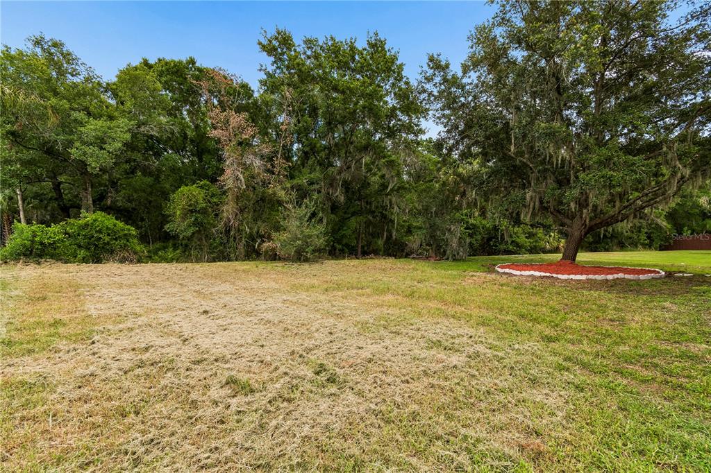 16936 Falconridge Road Lithia, FL 33547 - Photo 69 of 87