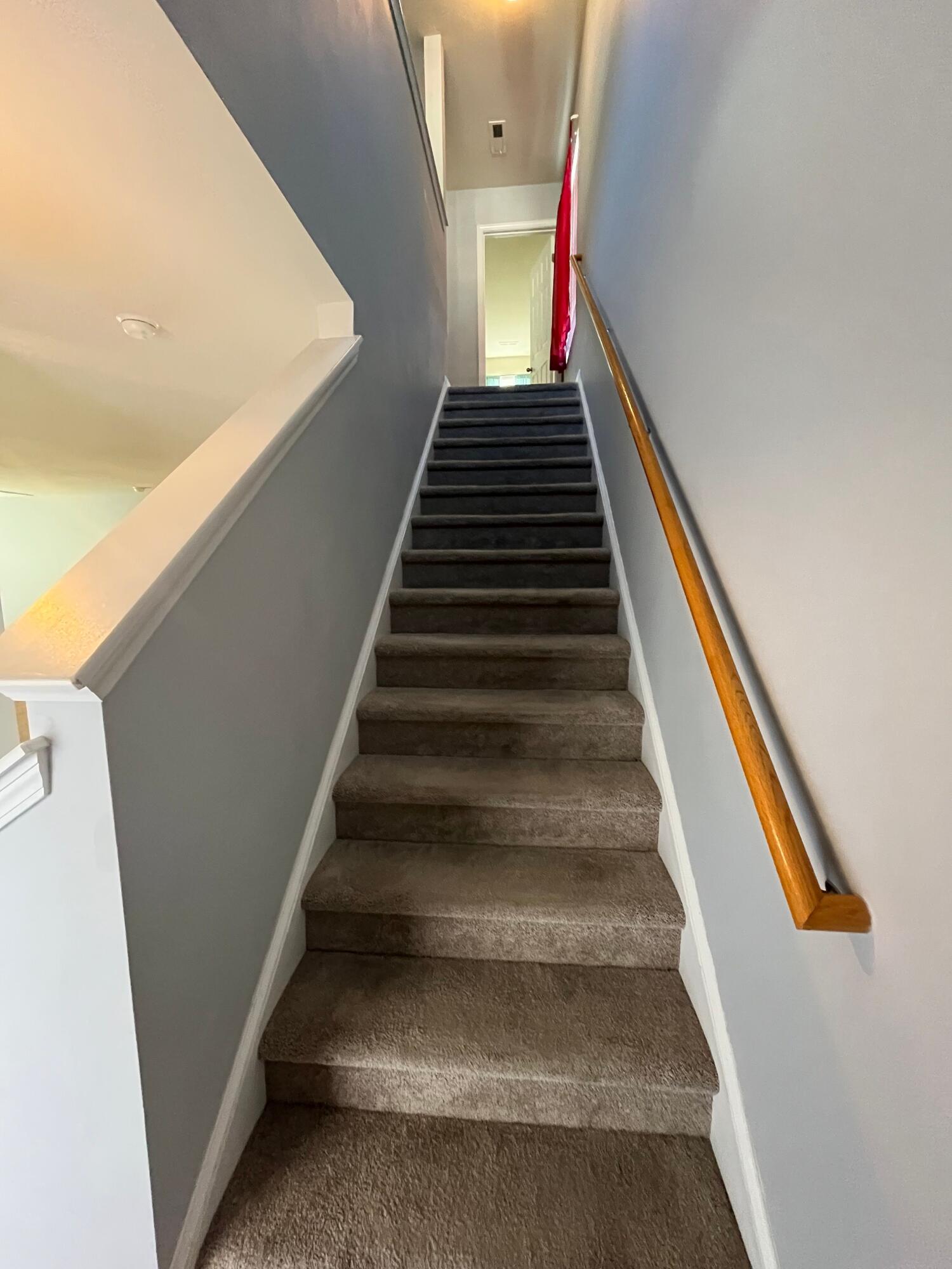 275 Cameron Street Summerville, SC 29486 - Photo 14 of 24 275.14