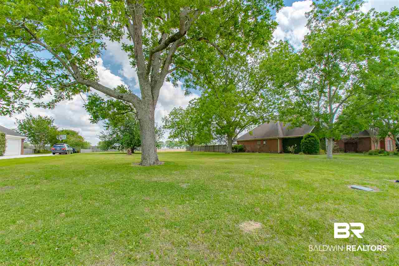 0 Bosbyshell Avenue Daphne, AL 36526 - Photo 2 of 6 Mature Pecan Trees