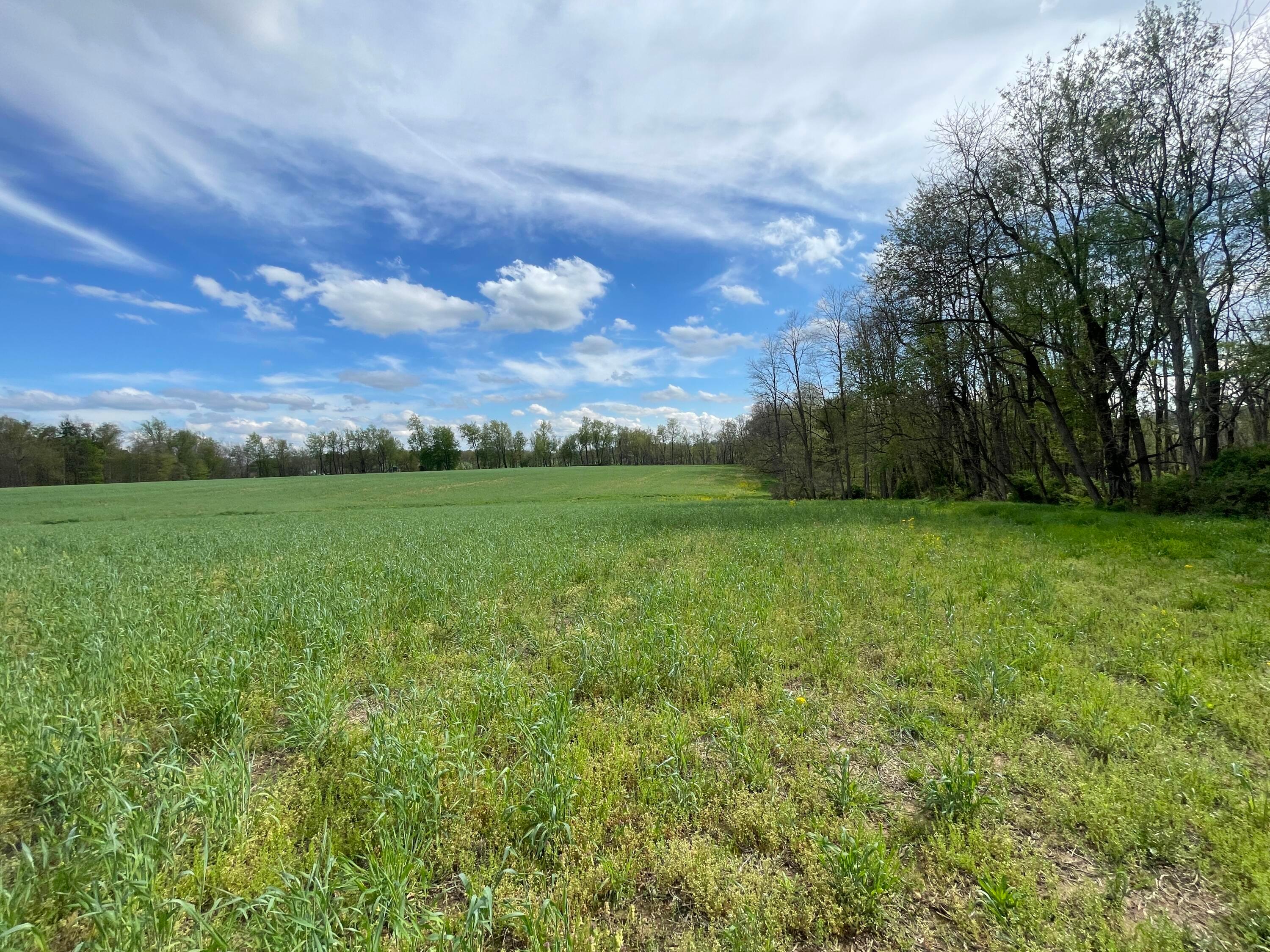 0 Monroe Mills Road Mount Vernon, OH 43050 - Photo 19 of 31 18