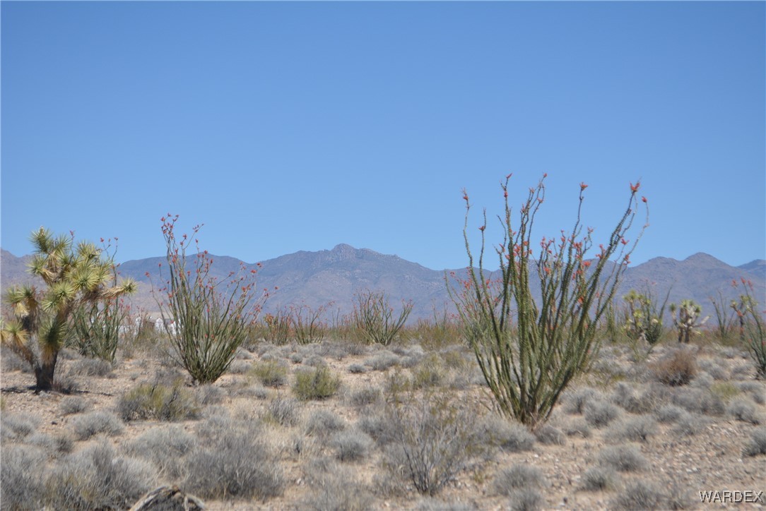 245-24-107 South Rainbow Road Yucca, AZ 86438 - Photo 83 of 91