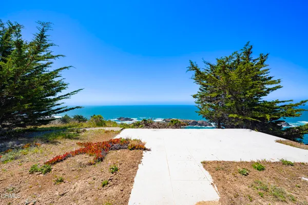 a view of swimming pool with a yard