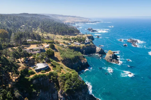 a vase of flowers sitting on a table