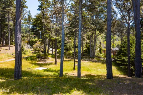 a view of a swimming pool and an outdoor space