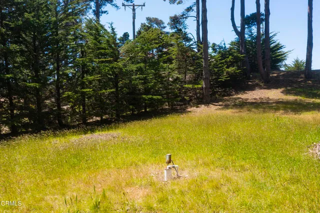 a view of water pond with trees