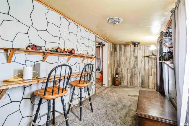 $70,000 | 305 East 3rd Street, Mineral, IL 61344