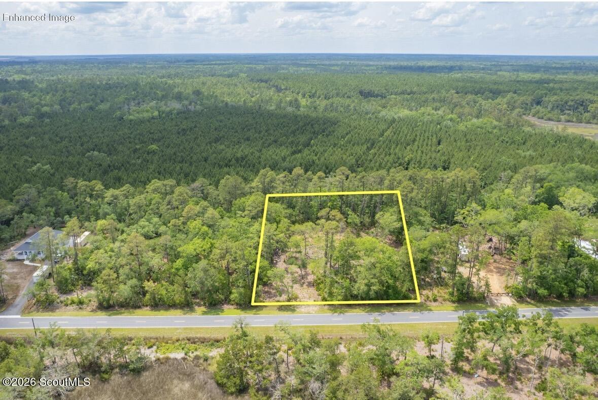 0 Piney Bluff Road Waverly, GA 31565 - Photo 2 of 26 IMG_9112