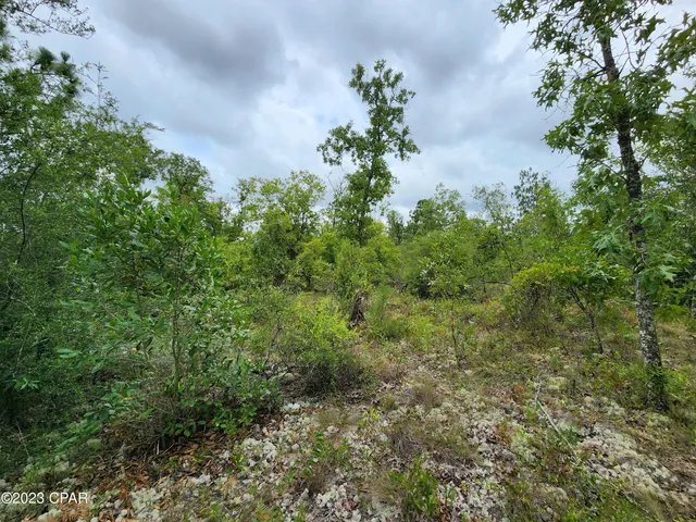 $24,900 | 0 Military Court, Unit LOT 6, Alford, FL 32420