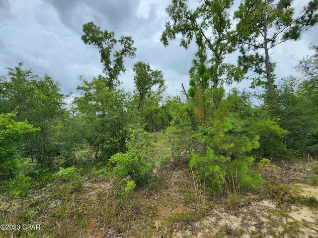 $24,900 | 0 Military Court, Unit LOT 6, Alford, FL 32420
