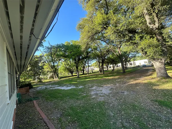 a view of a park with large trees