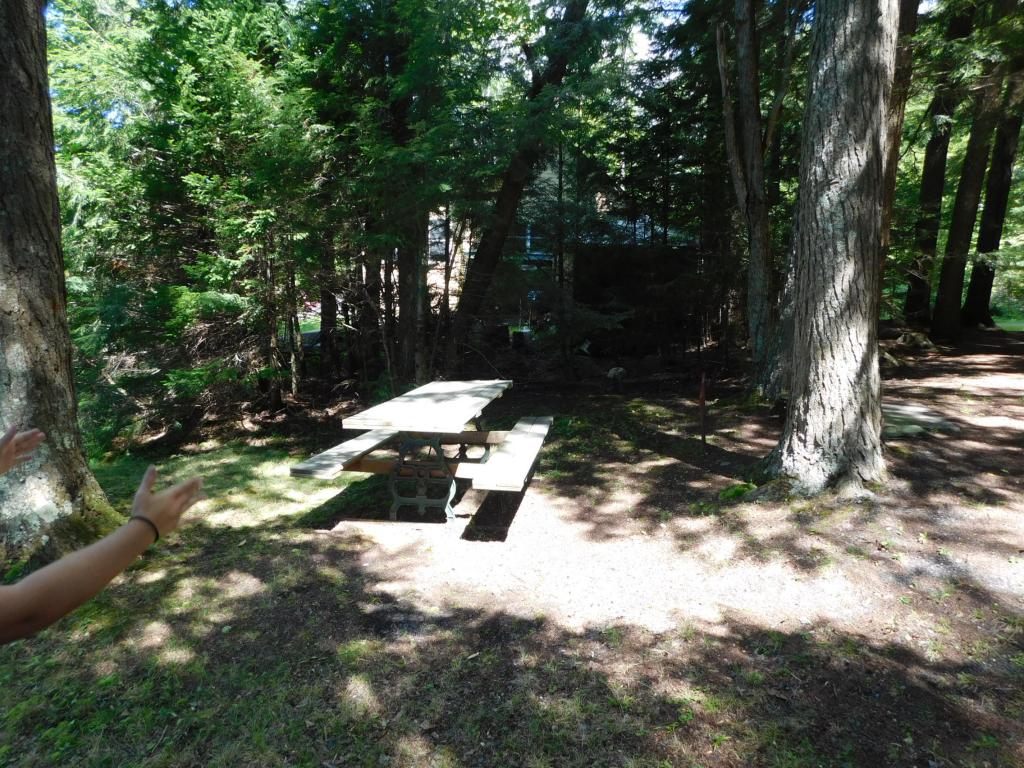 60 Lower Curtis Pond Road Calais, VT 05648 - Photo 18 of 23 Gallery Image 18