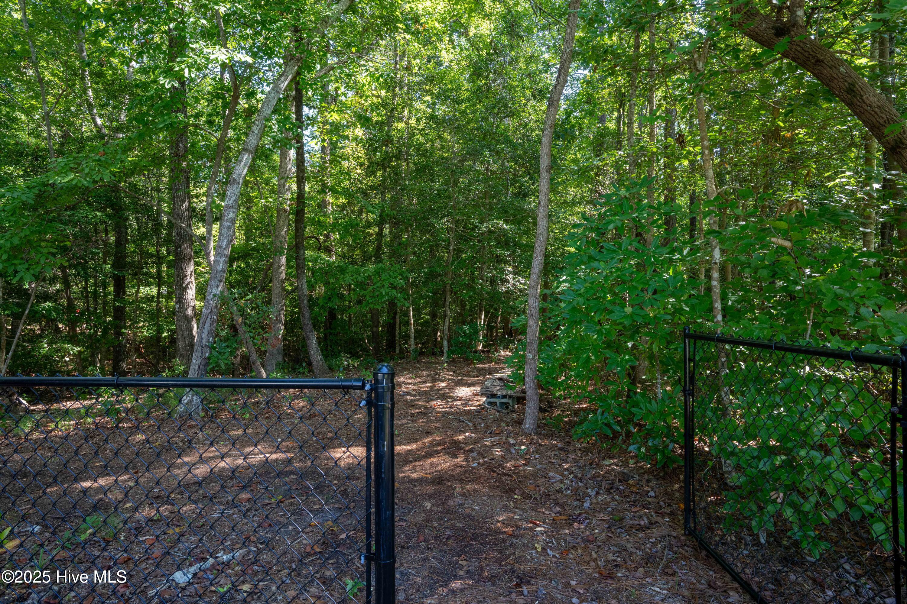 102 Ridgewood Trail New Bern, NC 28560 - Photo 48 of 66 102 Ridgewood - Exterior - Edited-2
