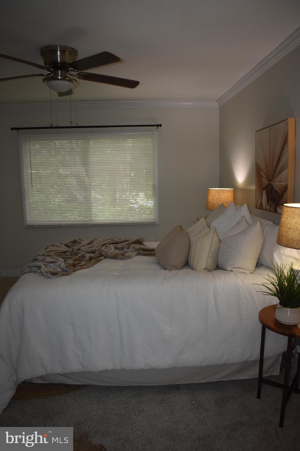 3850 Bel Pre Road, Unit 14 Silver Spring, MD 20906 - Photo 101 of 140