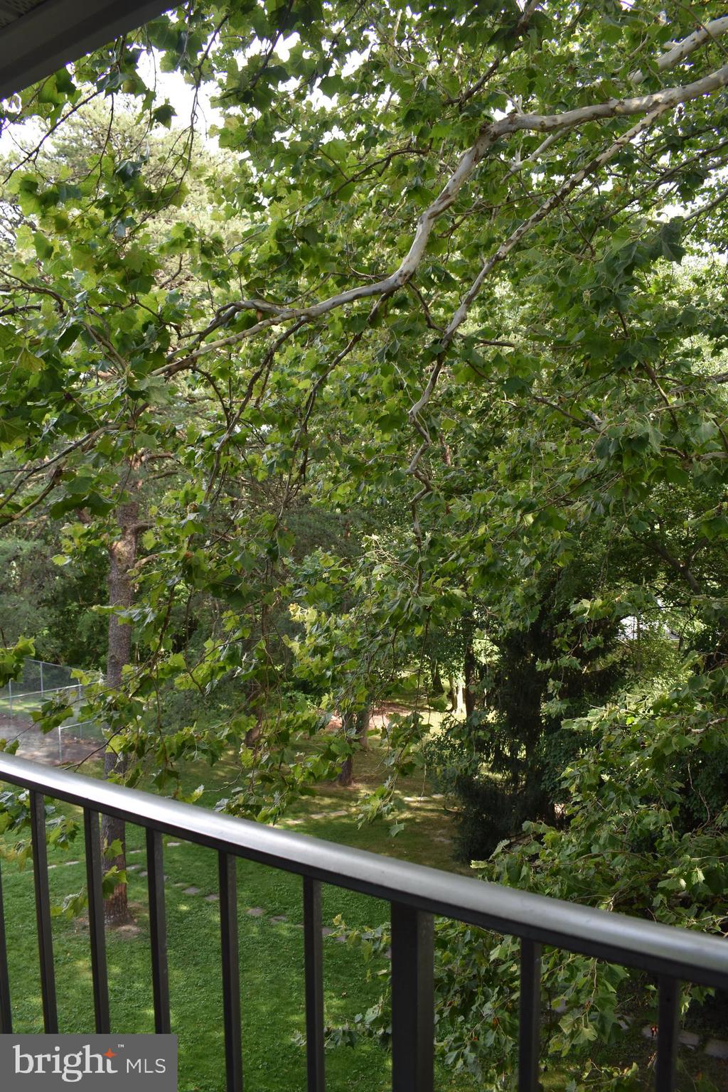 3850 Bel Pre Road, Unit 14 Silver Spring, MD 20906 - Photo 78 of 140 Privacy
