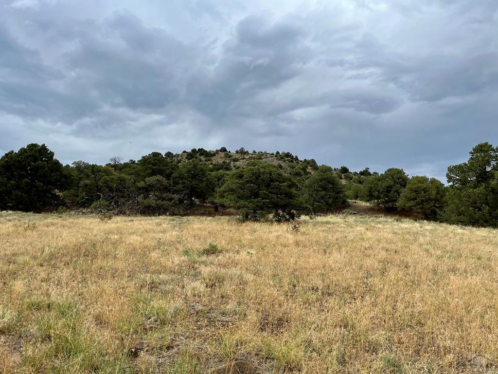 Tbd Ketchum Road Walsenburg, CO 81089 - Photo 17 of 22