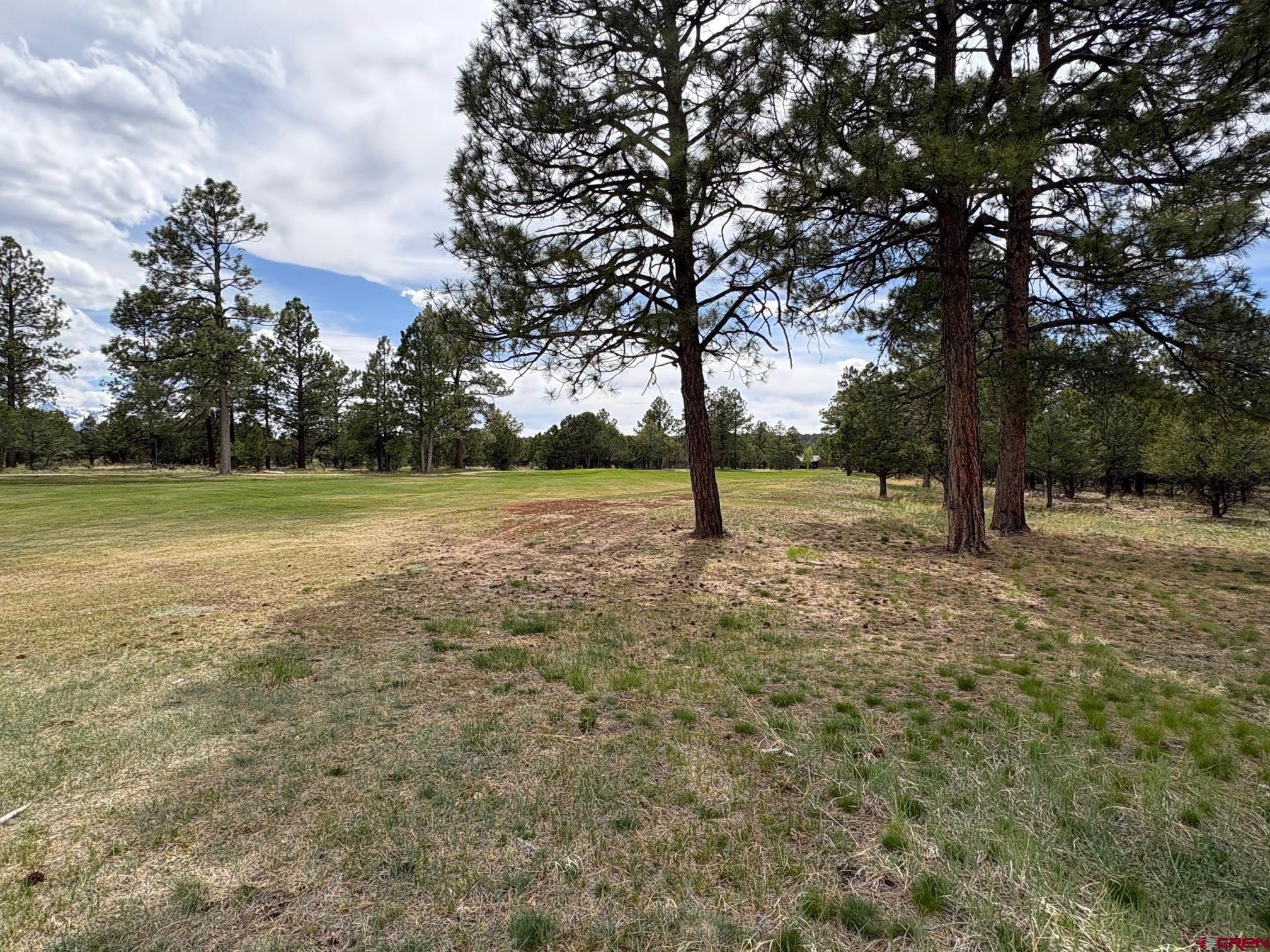 1711 Marmot Drive Ridgway, CO 81432 - Photo 3 of 3 a view of outdoor space with trees