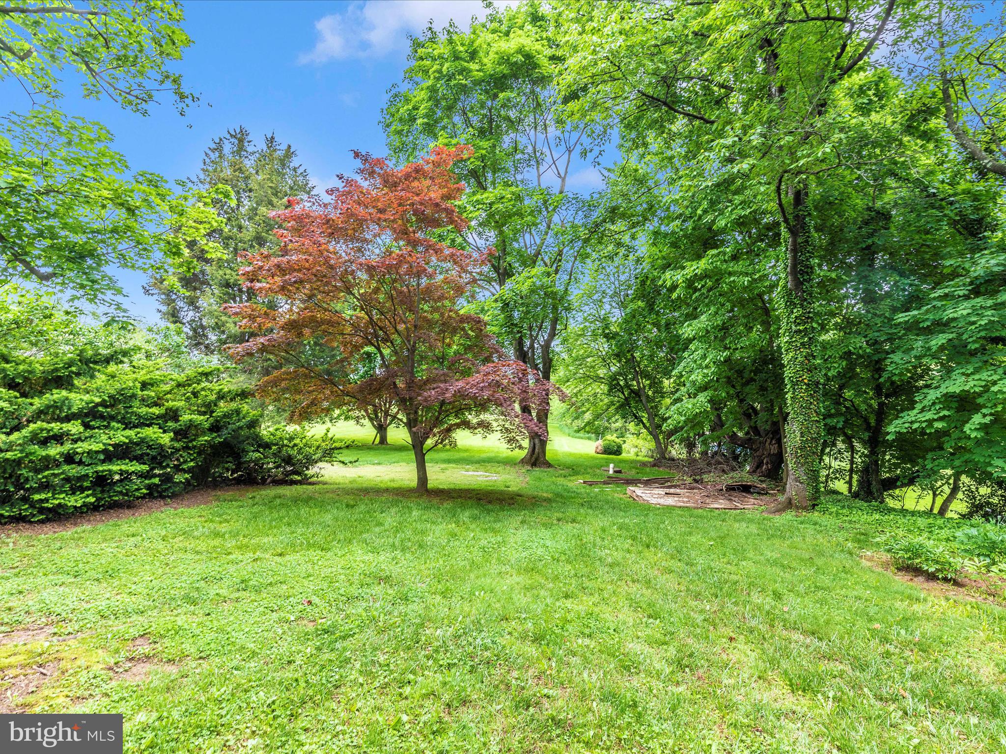 3204 Uniontown Road Westminster, MD 21158 - Photo 12 of 51 a view of yard with green space
