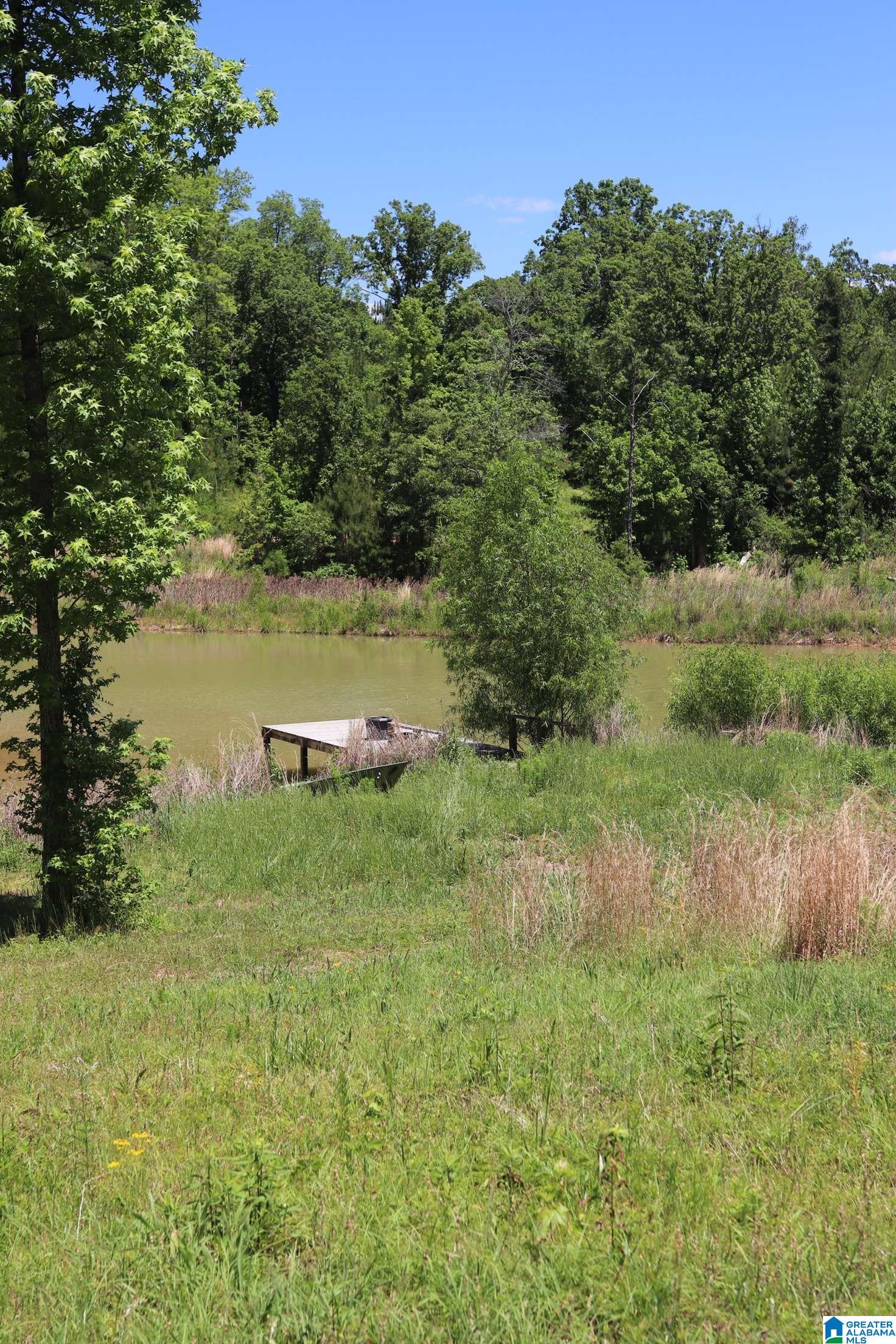 2930 Shocco Springs Road Talladega, AL 35160 - Photo 69 of 93