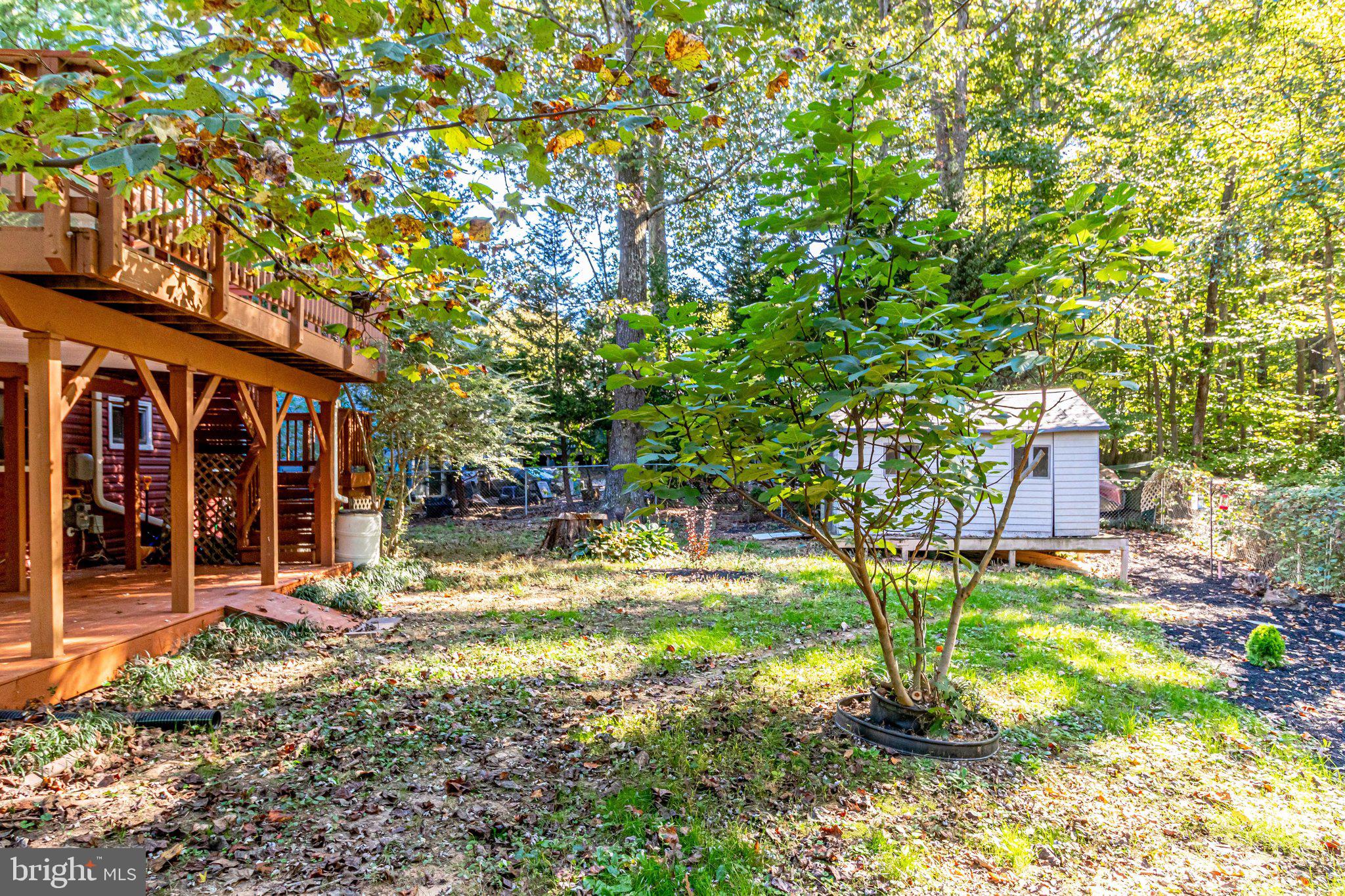 7917 Orange Plank Road Springfield, VA 22153 - Photo 60 of 70