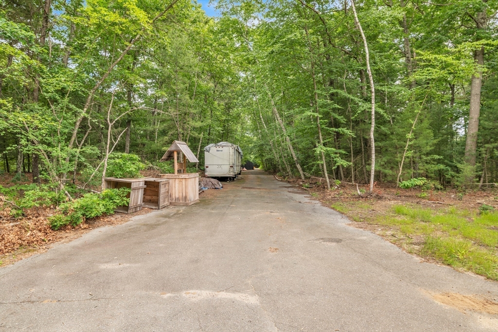 219 Wilbraham Road Monson, MA 01057 - Photo 11 of 19 a view of a field with plants and trees