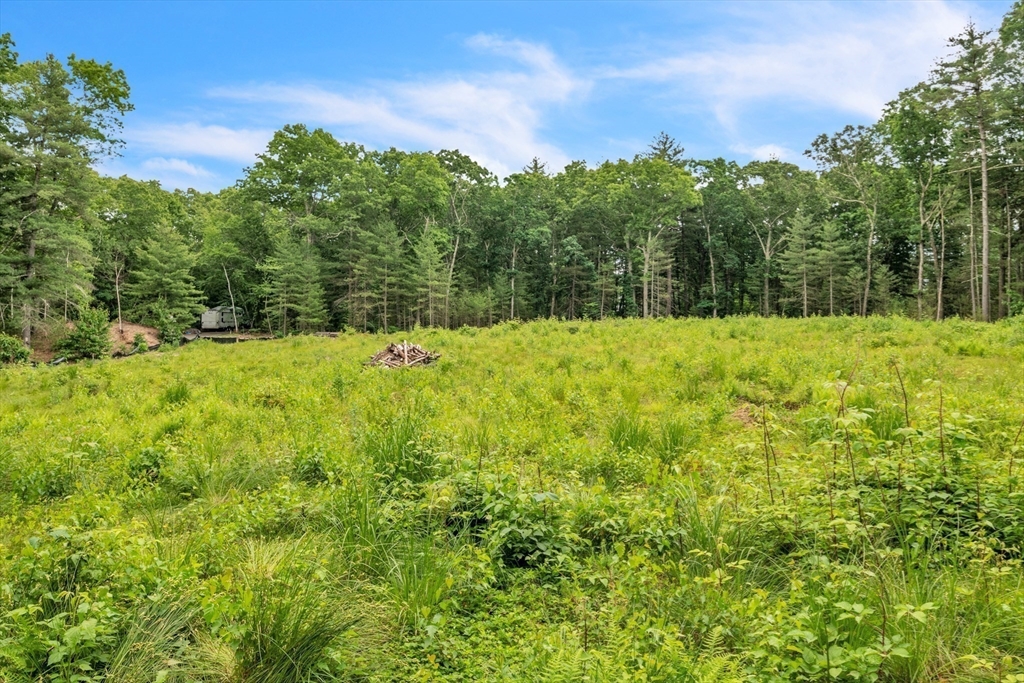 219 Wilbraham Road Monson, MA 01057 - Photo 13 of 19 a view of outdoor space and yard