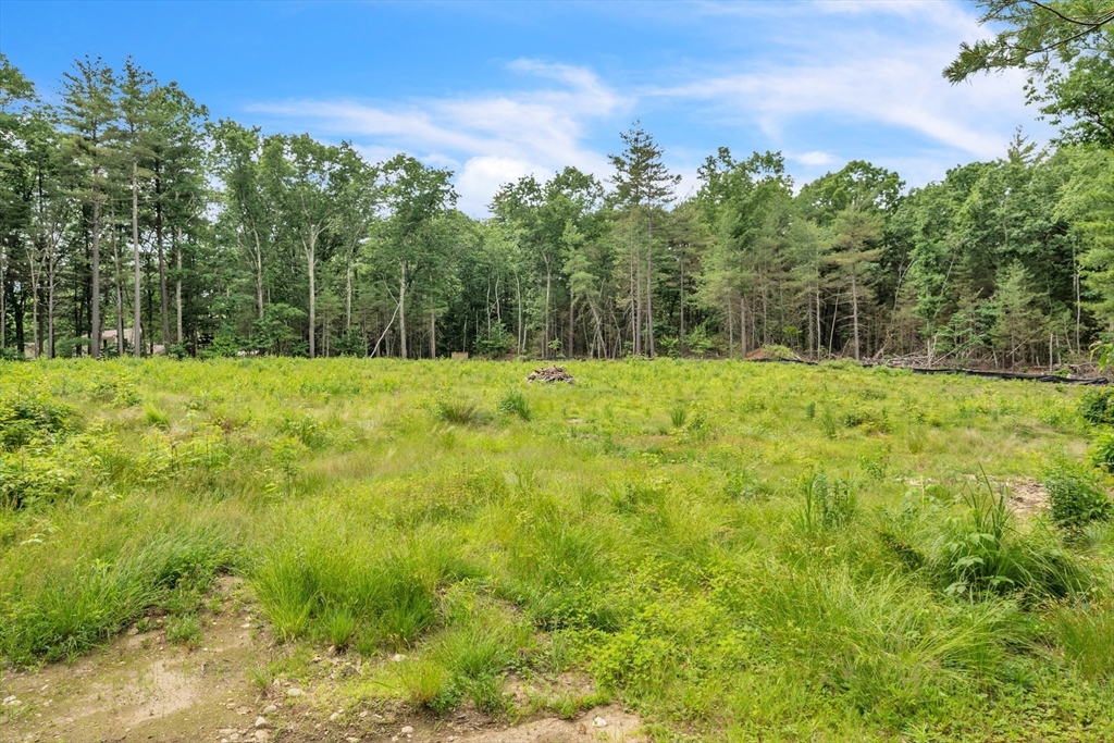 219 Wilbraham Road Monson, MA 01057 - Photo 3 of 19 a view of outdoor space and yard