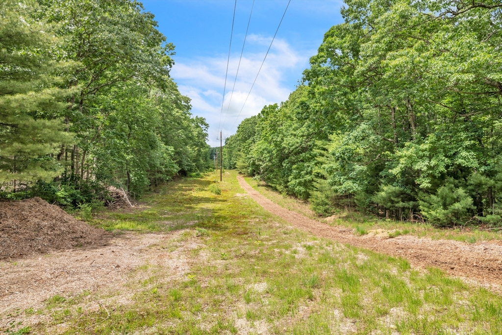 219 Wilbraham Road Monson, MA 01057 - Photo 6 of 19 a view of yard with green space