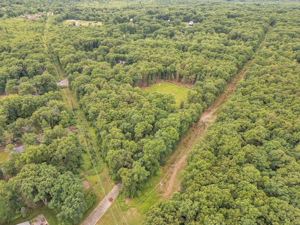 219 Wilbraham Road Monson, MA 01057 - Photo 7 of 19 a view of a forest with a small yard
