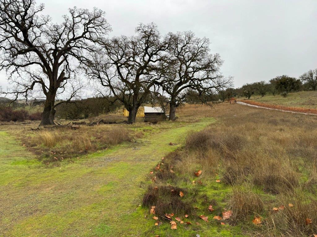 1-acre Panoche Road Paicines, CA 95043 - Photo 4 of 23 Gallery Image 4