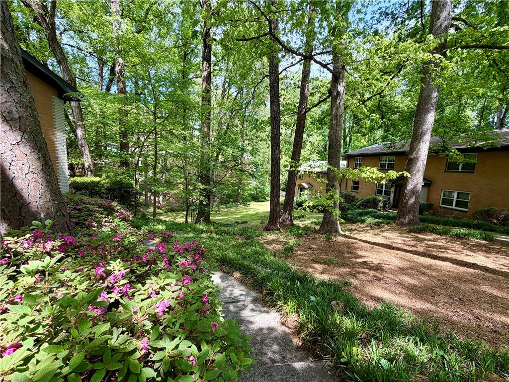 1010 Scott Boulevard, Unit E4 Decatur, GA 30030 - Photo 14 of 16 a backyard of a house with lots of green space