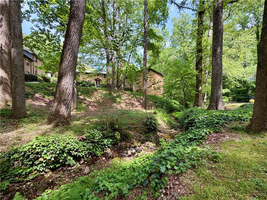 1010 Scott Boulevard, Unit E4 Decatur, GA 30030 - Photo 15 of 16 a backyard of a house with lots of green space
