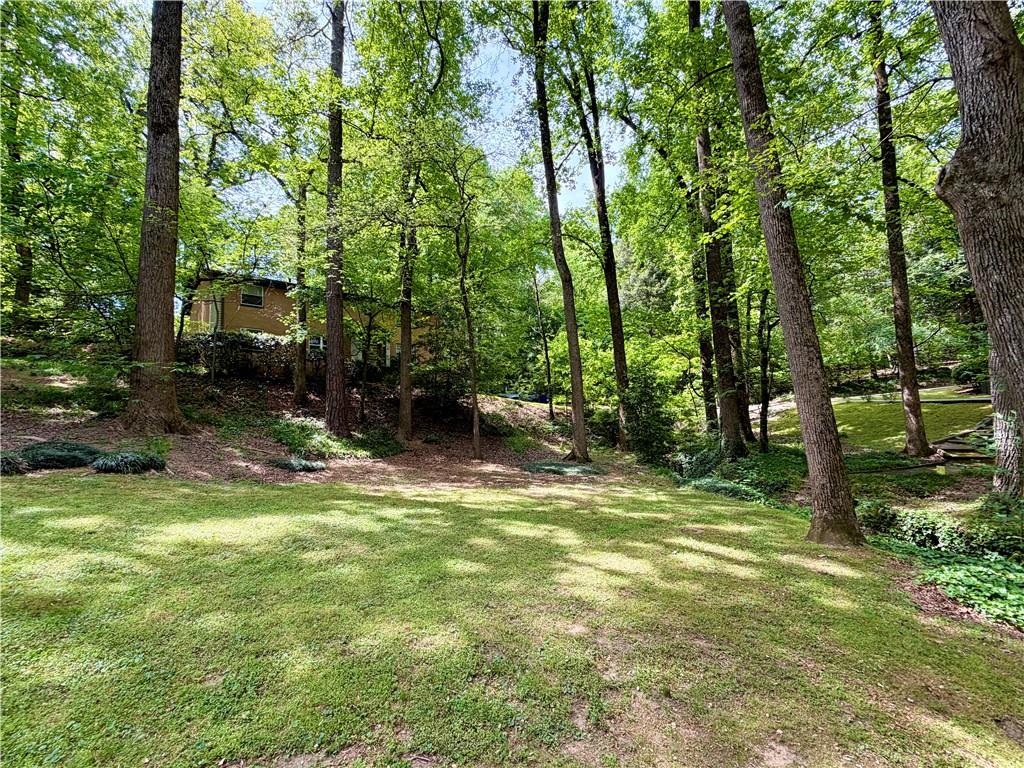 1010 Scott Boulevard, Unit E4 Decatur, GA 30030 - Photo 16 of 16 a view of a trees in a yard