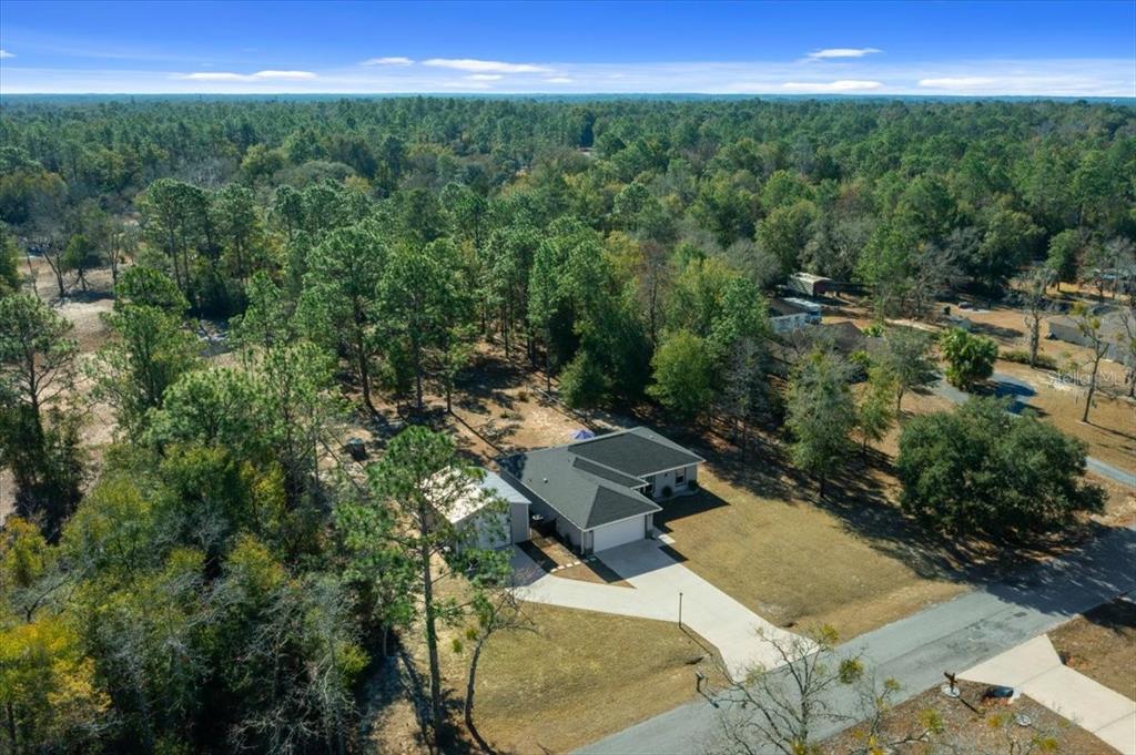 9085 Southwest 202nd Avenue Road Dunnellon, FL 34431 - Photo 31 of 35