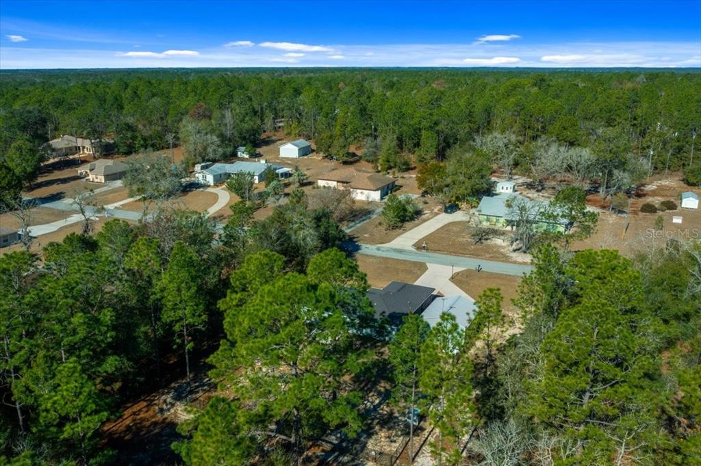 9085 Southwest 202nd Avenue Road Dunnellon, FL 34431 - Photo 33 of 35