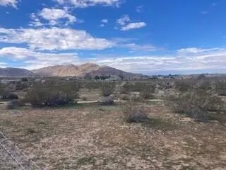 a view of a dry yard with lots of trees