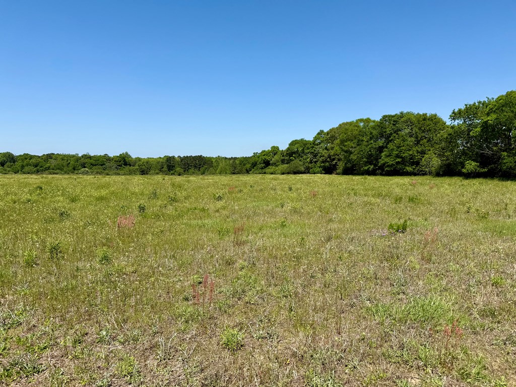 12.37-acres Huskey Road Dothan, AL 36303 - Photo 7 of 16