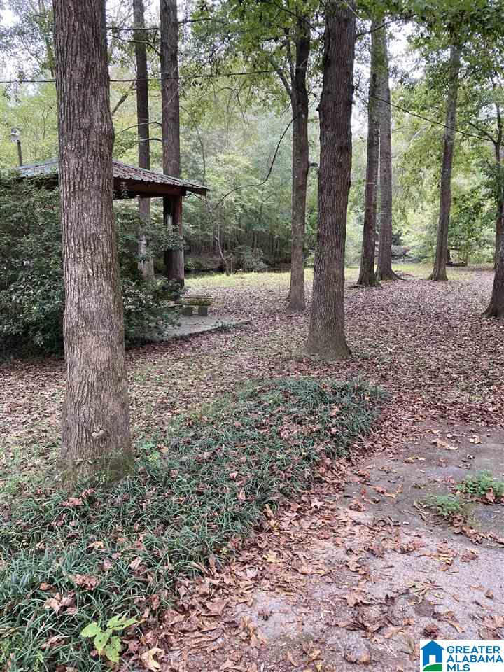523 Farm Loop Road Alexander City, AL 35010 - Photo 12 of 13