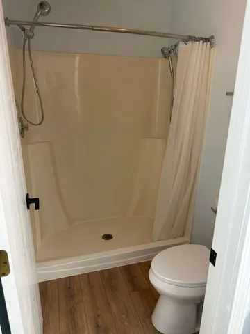 a bathroom with a shower and a toilet