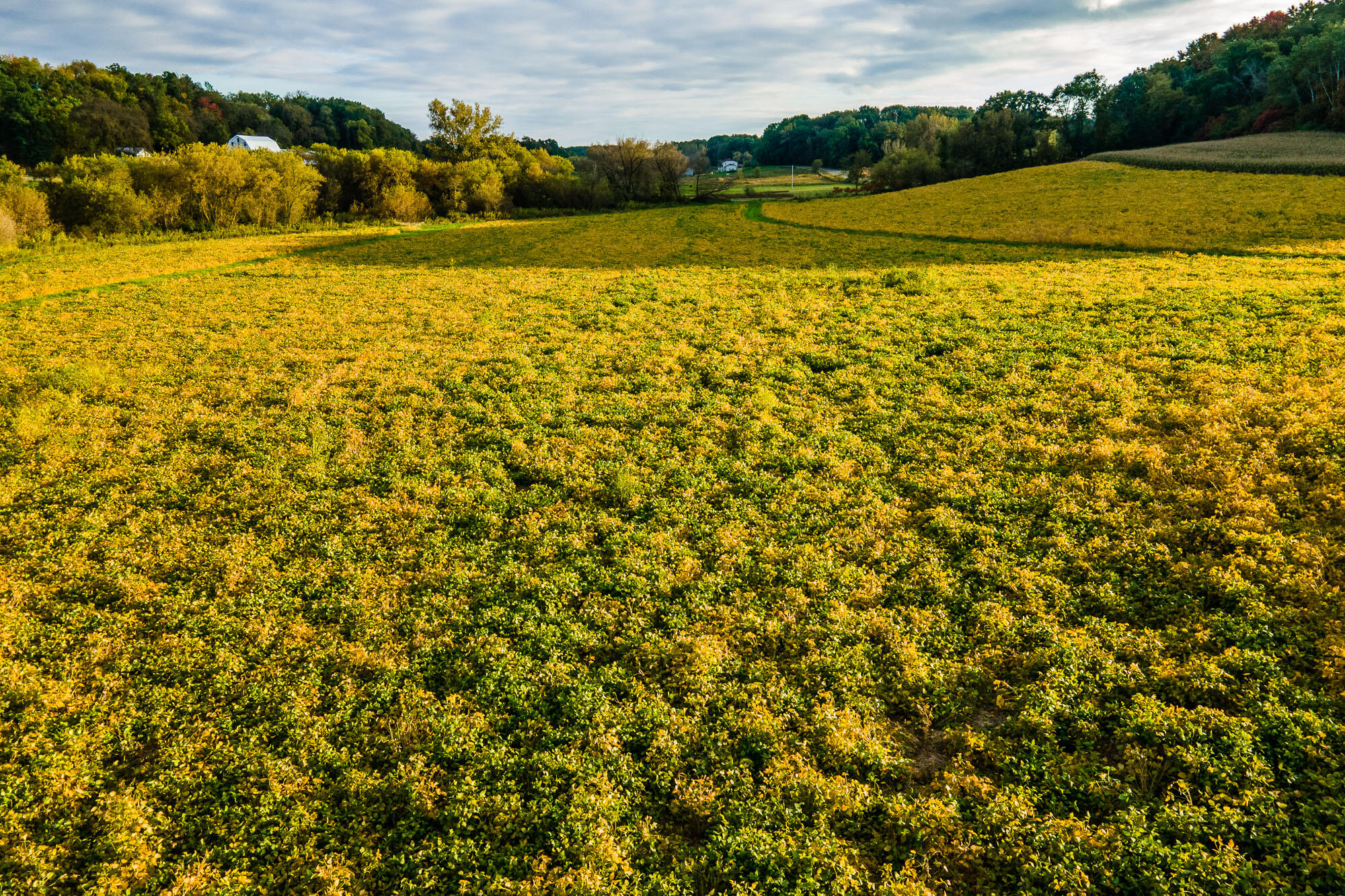 Lt3 Eli Valley Road Hillpoint, WI 53937 - Photo 6 of 12 Sauk-County-WI-Tillable-Land-For-Sale-3
