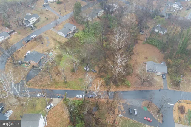 a view of a tree with a yard
