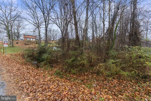 a view of a yard with plants and trees
