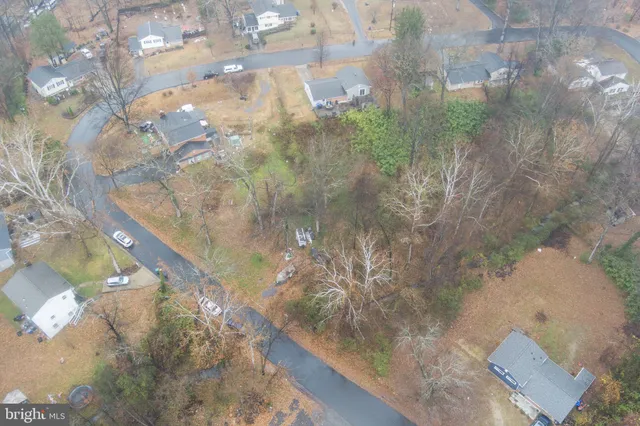 a view of a tree in a yard