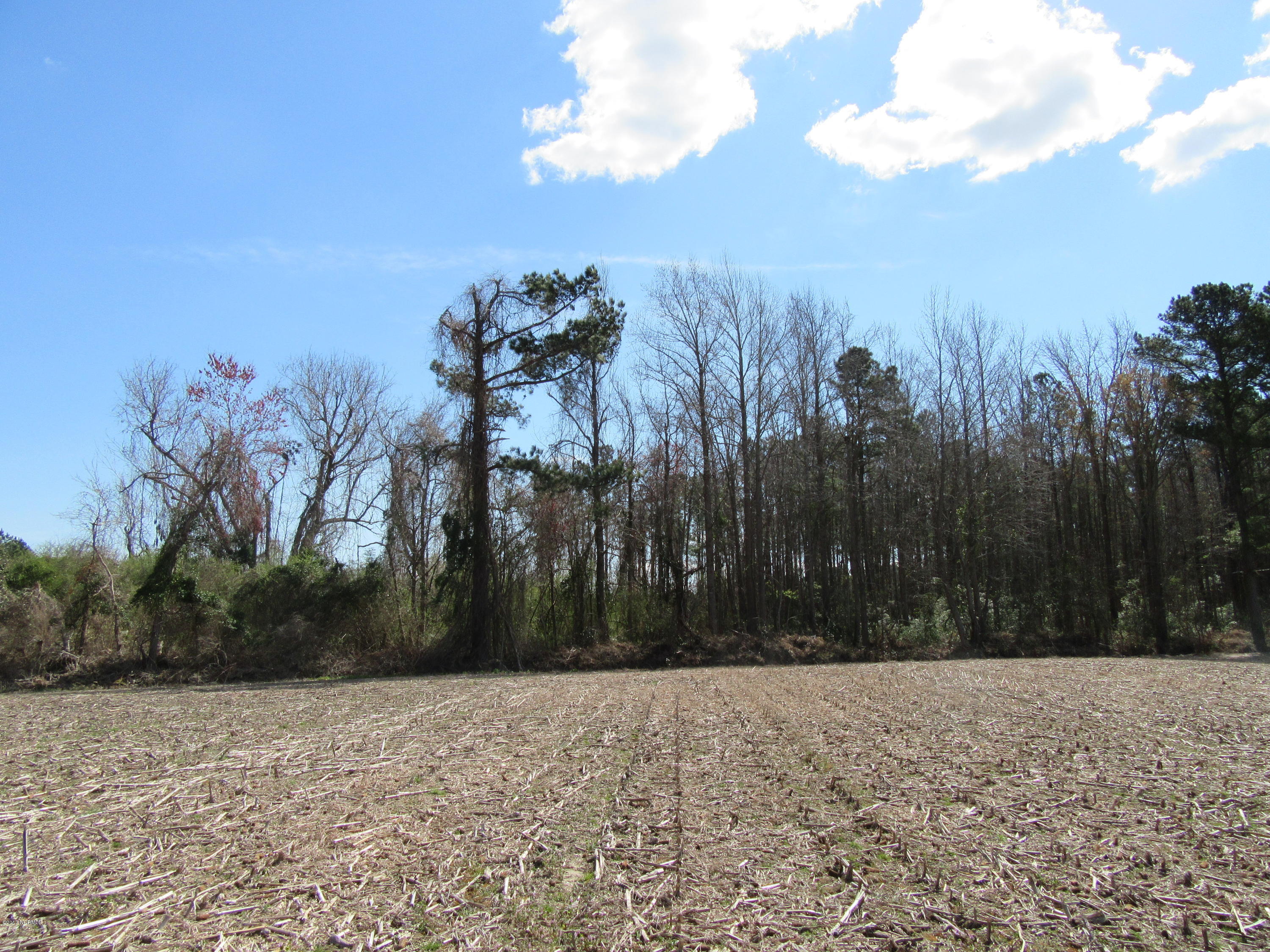 250 Alligator Loop Road Merritt, NC 28556 - Photo 2 of 6 View From Farmland