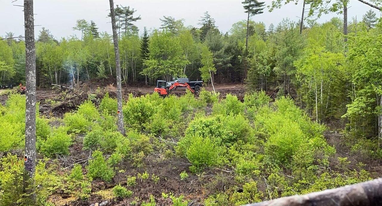 0 High Street Brooklin, ME 04616 - Photo 7 of 8 baughman7