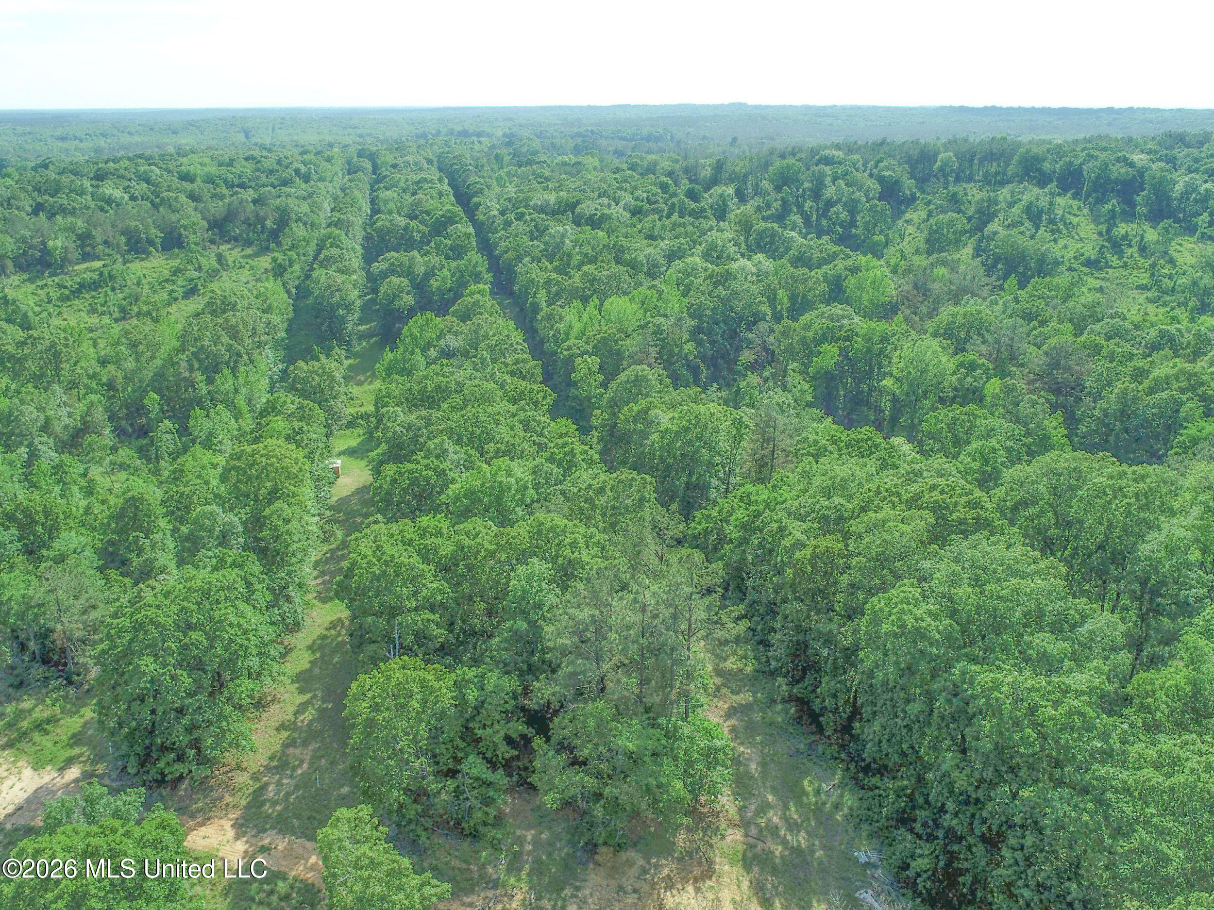 Wayne Massie Road Como, MS 38619 - Photo 62 of 184 3ctwmrd44