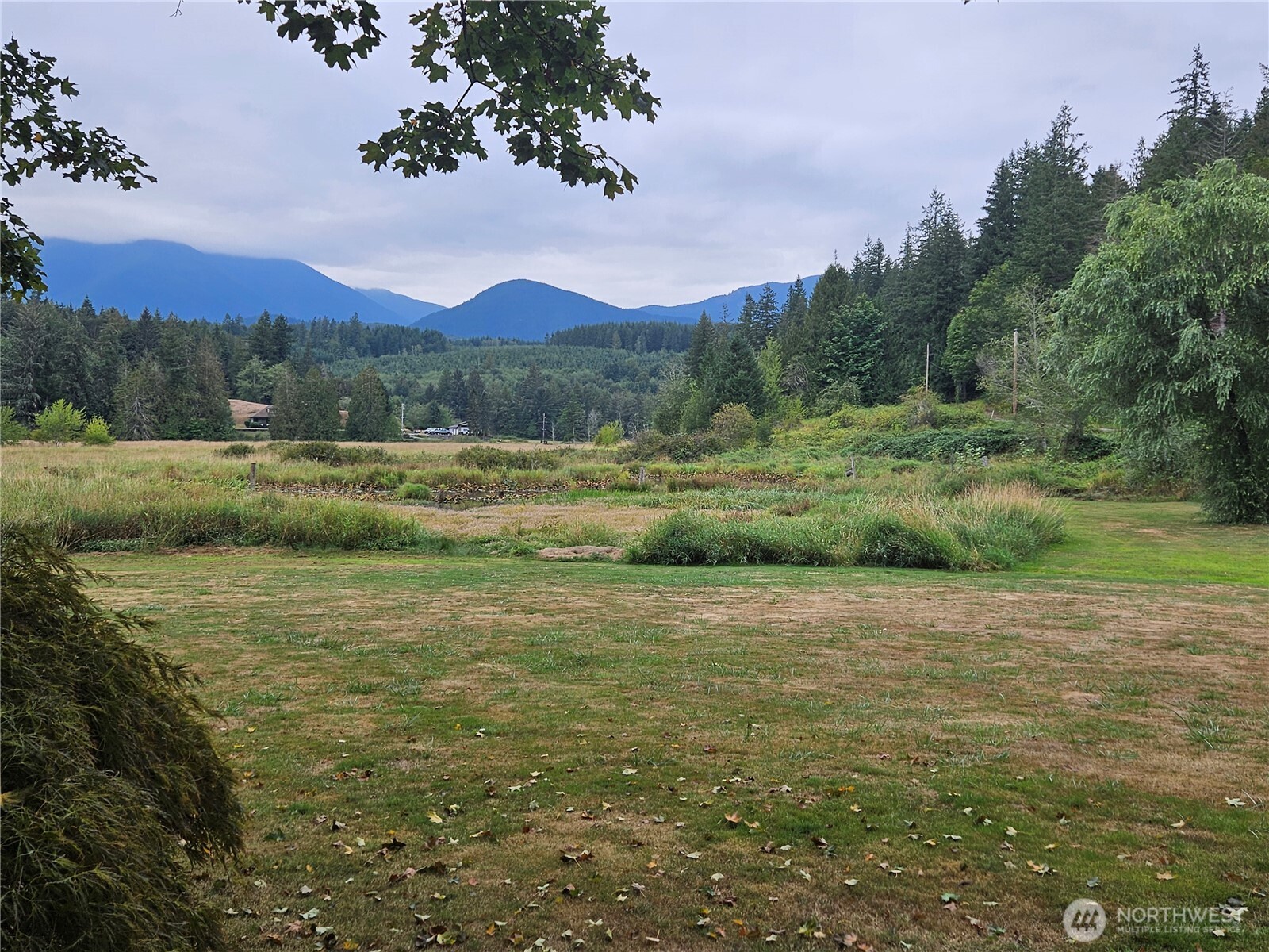 50 Leland Cut-Off Road Quilcene, WA 98376 - Photo 1 of 23 a view of outdoor space and mountain view